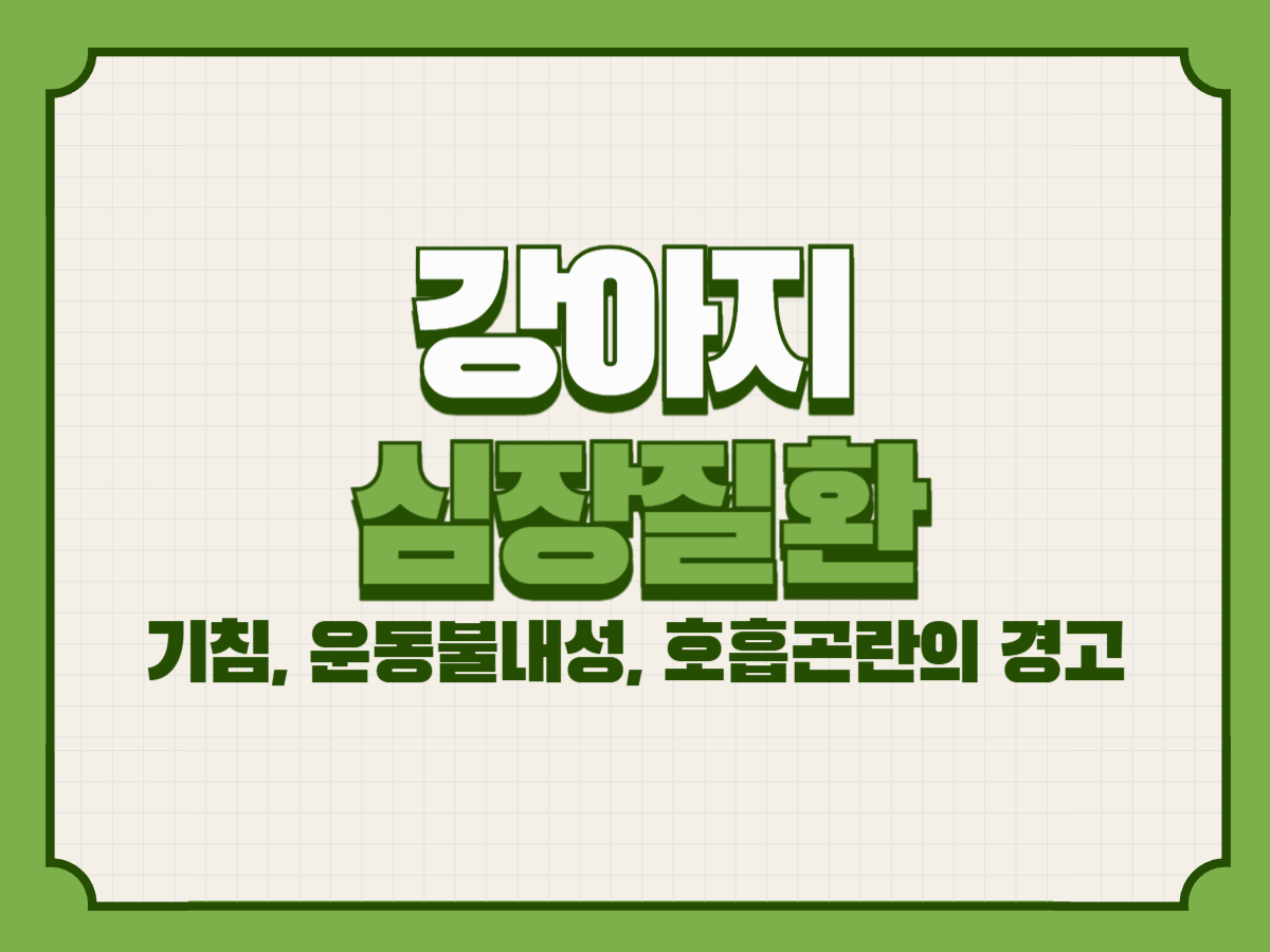 강아지 심장질환 – 기침, 운동불내성, 호흡곤란의 경고