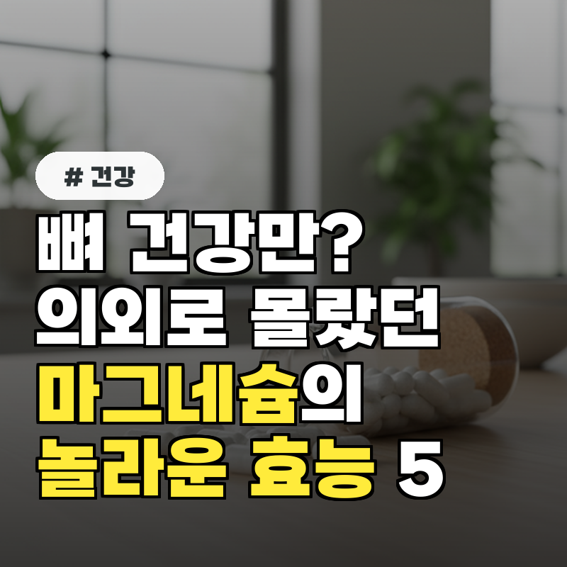 뼈 건강만 의외로 잘 모르는 마그네슘의 놀라운 효능 5가지
