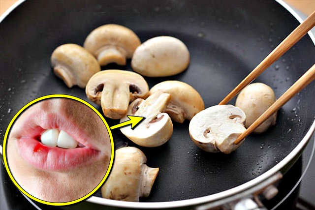 입안이 자주 헐때 좋은 음식 양송이버섯 효능,입병이 자주나는 이유