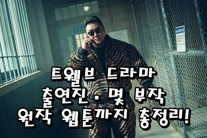 트웰브 드라마 출연진·몇 부작·원작·웹툰까지 총정리! 마동석·박형식 활약 주목