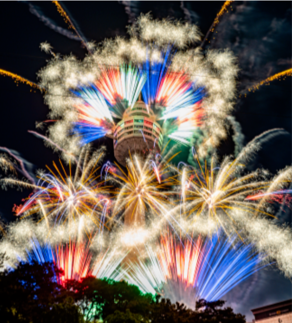 이월드벚꽃로드