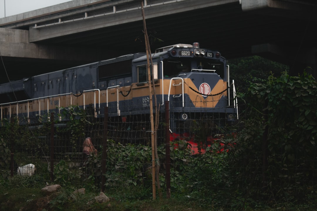 Train.