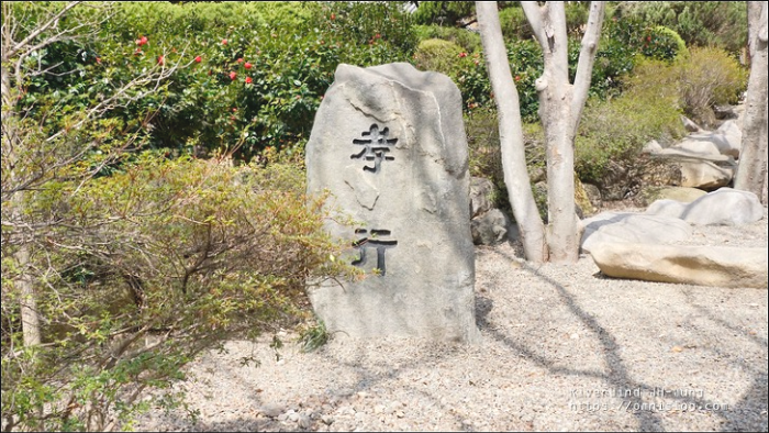 천성산 상리천 야생화 트레킹