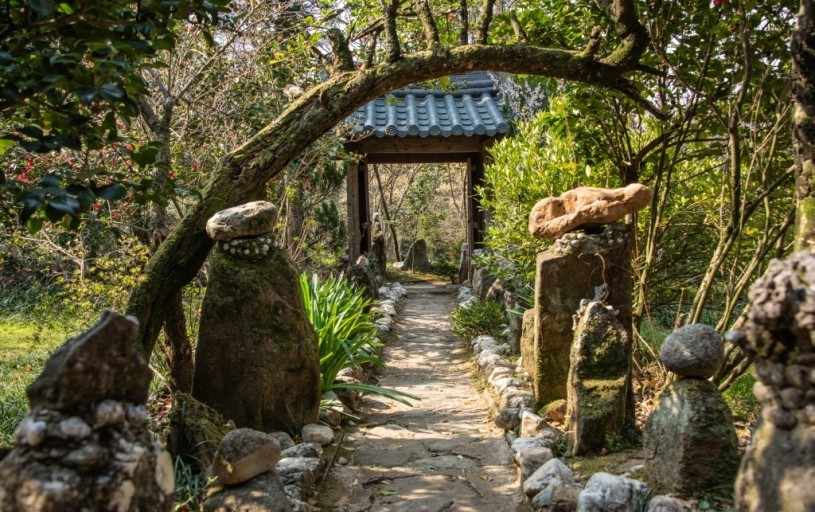 생방송투데이 스카이바이크&#44; 쌍산재&#44; 향나무숲