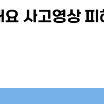 인도항공기 추락 에어인디아 사고 (+ 영상 포함)