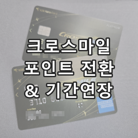 크로스마일 포인트 전환