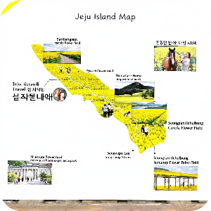 제주도 여행 코스 이미지