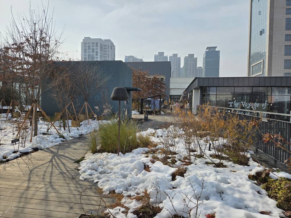 송도 웁스어데이지