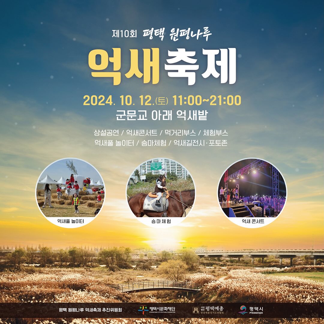 제10회 평택 원평나루억새축제 기본정보와 프로그램 정리 정미애 류지광 출연