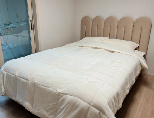 부드러운 침대 관련 사진