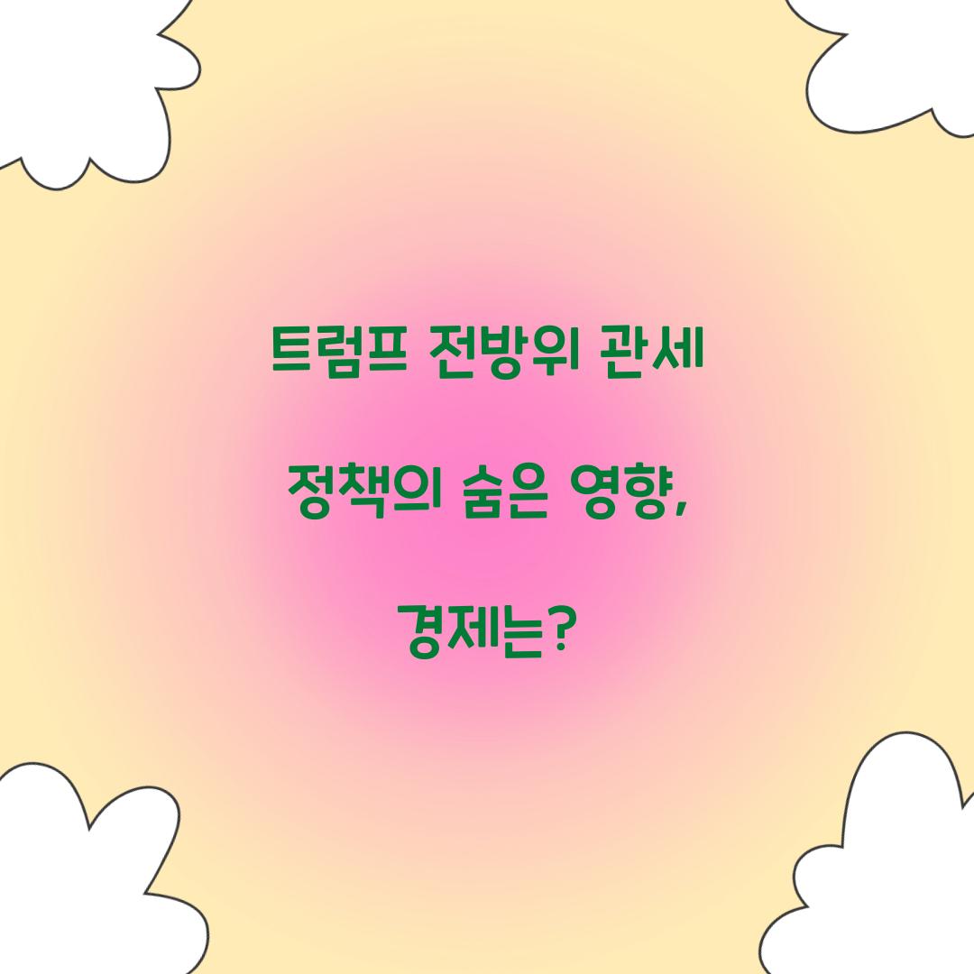 트럼프 전방위 관세 정책