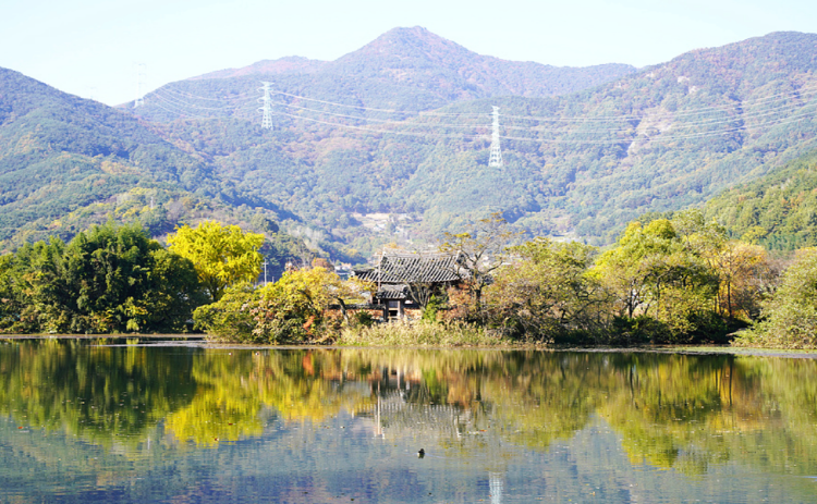 밀양 위양지