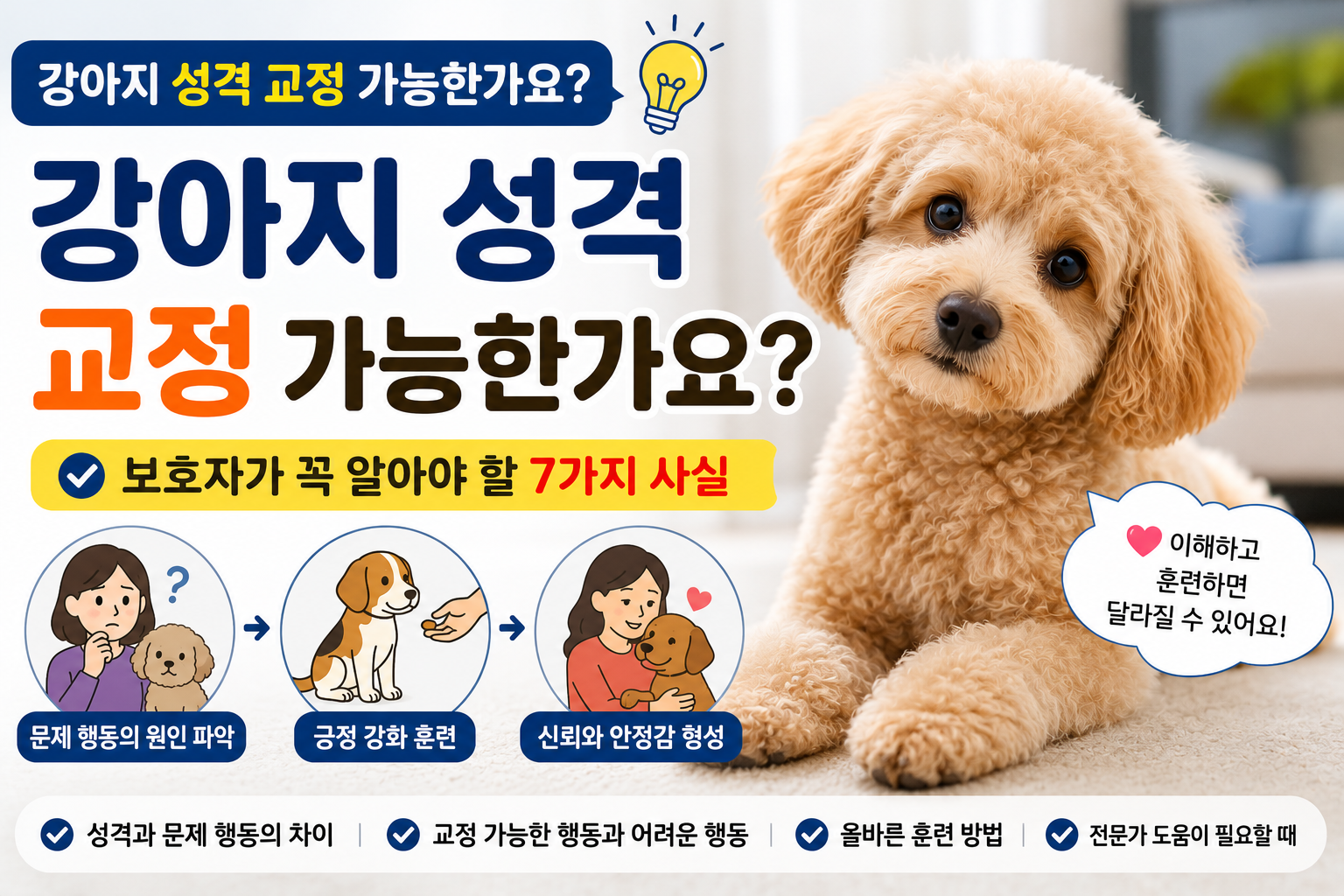 강아지 성격 교정 가능한가요?|보호자가 꼭 알아야 할 7가지 사실