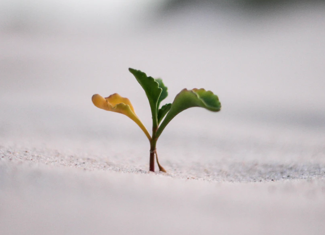 학습 속도가 늦은 아이를 위한 올바른 양육 방법