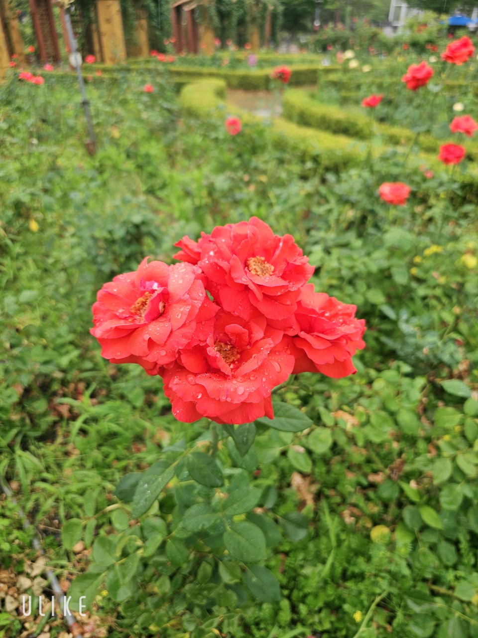 복지행정 준비생이 참고할 해외 복 사례