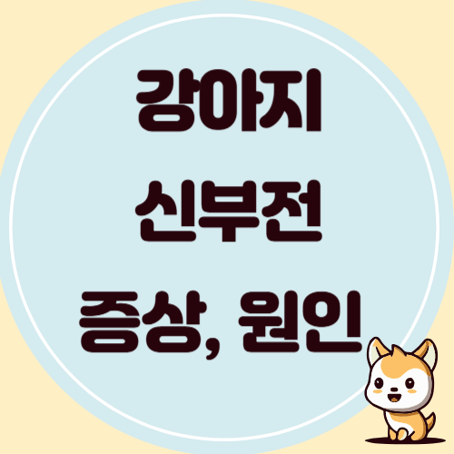 강아지 신부전 증상과 원인, 치료, 예방 방법
