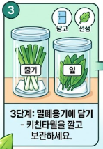 대파 보관법
