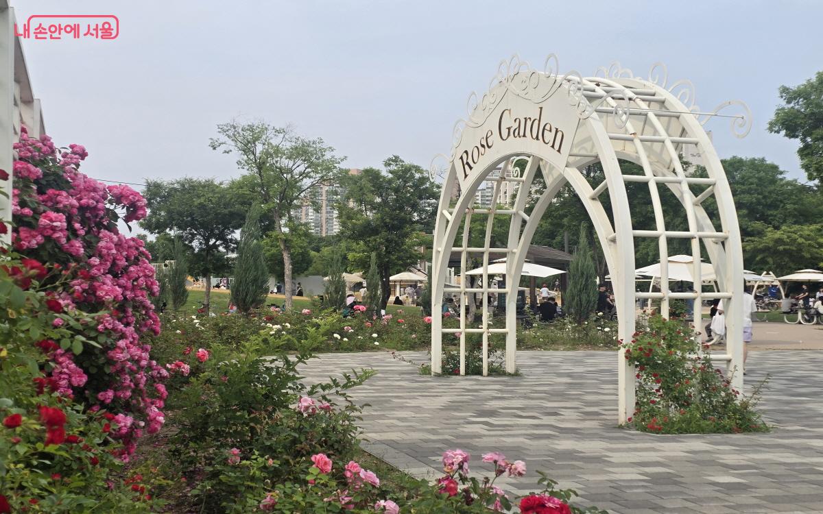 로즈가든