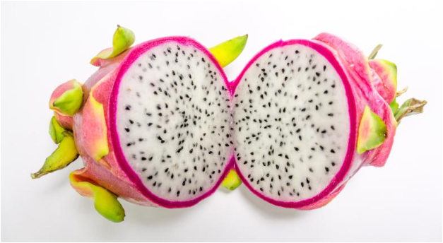 비타민 바로알고 먹자