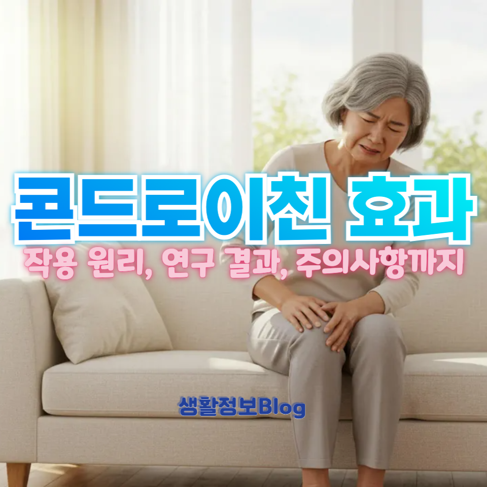 콘드로이친 효과