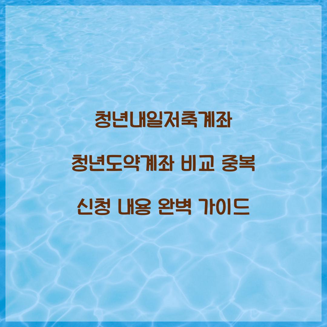 청년내일저축계좌 청년도약계좌 비교 및 중복 신청 내용