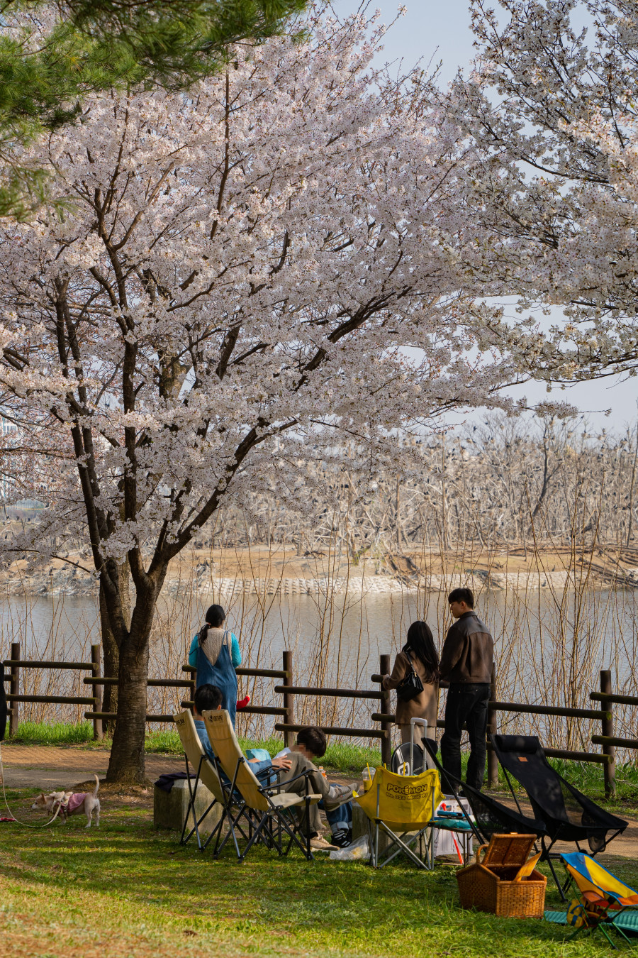 수원 서호공원 나들이
