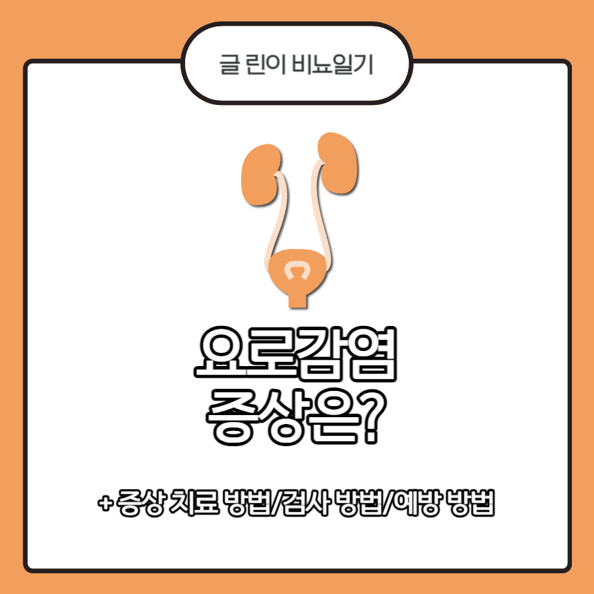 요로감염 증상