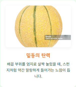 메론 후숙방법 