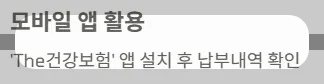 2025 전국민지원금 민생회복 소비쿠폰 소득구간 - 모바일앱활용