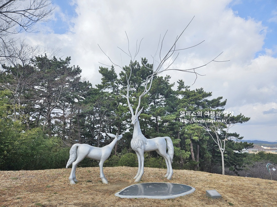 왕피천 케이블카 예약 가격 환급방법 탑승 후기 산책길 가볼만한곳