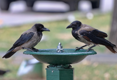 전기요금 할인 중복 받을 수 있나요? 가능한 조합 총정리