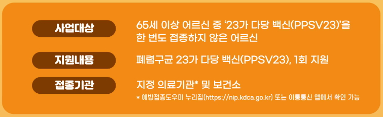 폐렴 예방접종! 필수 정보 총정리!