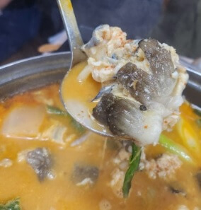 6시 내고향 완도 백반 맛집 만선식당