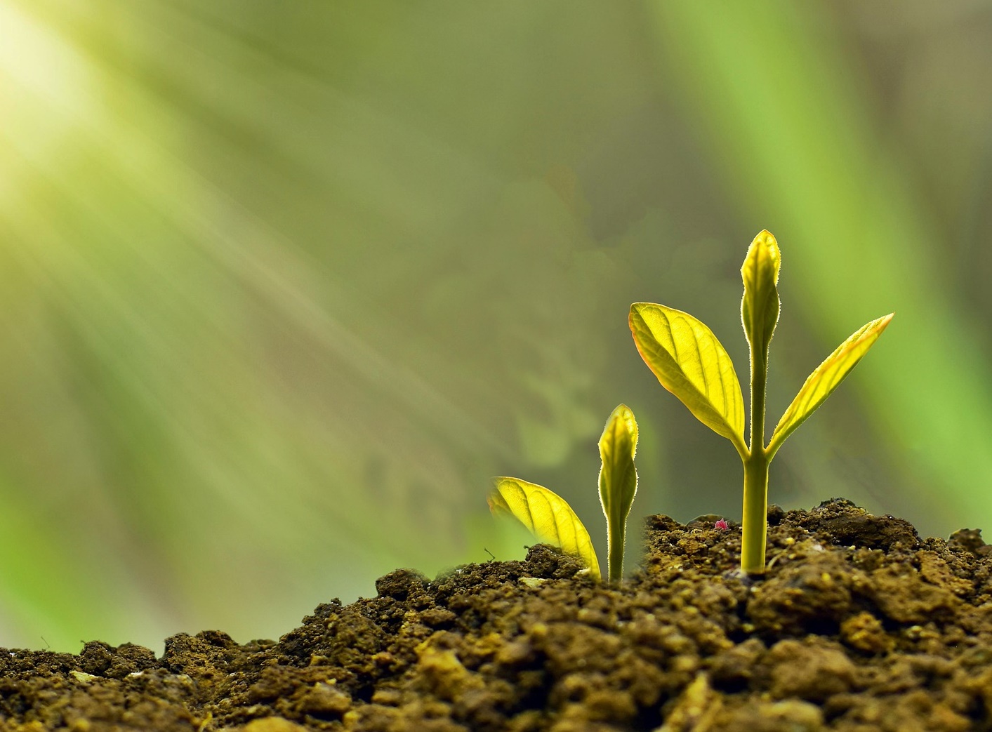 국민연금·퇴직연금·개인연금, 어떻게 나눠 써야 안전할까!