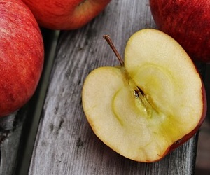 사과 탄수화물 성분