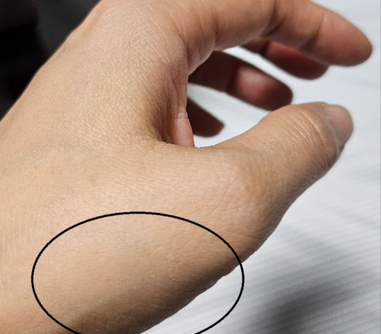 이니스프리 노세범 블러 프라이머-완전히 펴바른 것