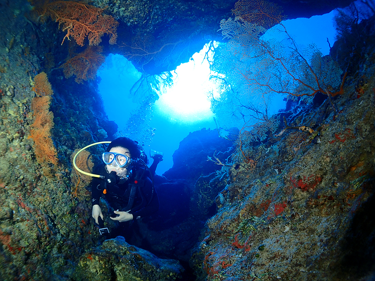 다이빙 하는 사진