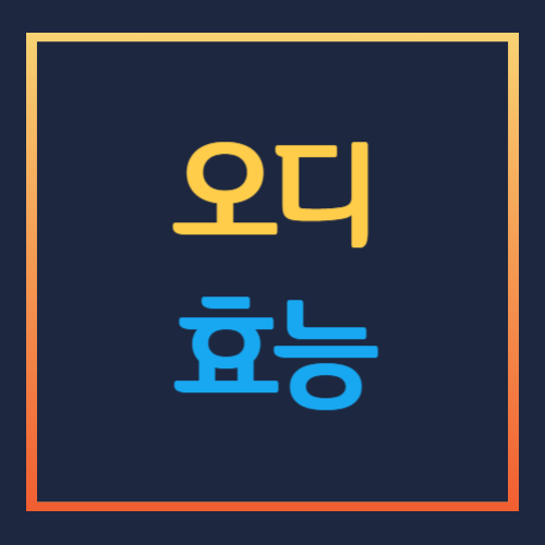 오디 효능