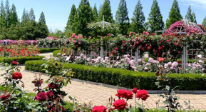 고양꽃박람회 입장료