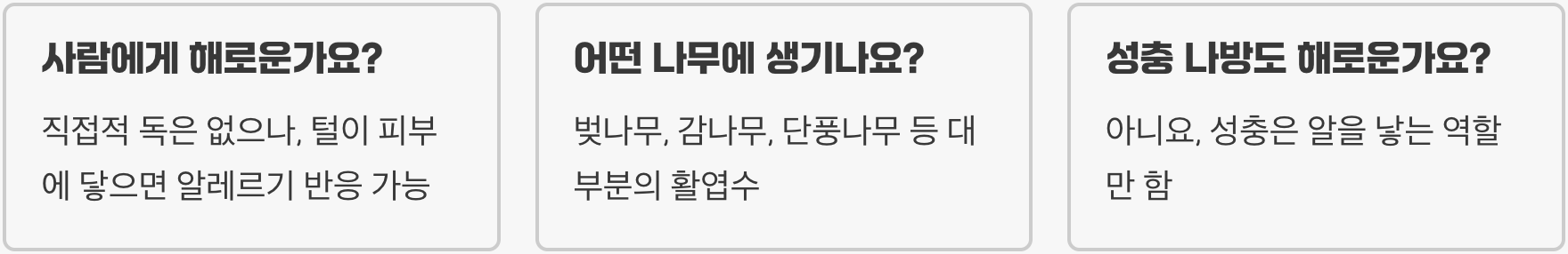 미국흰불나방 유충 한 마리, 나무 전체를 죽입니다 (초기 박멸법)
