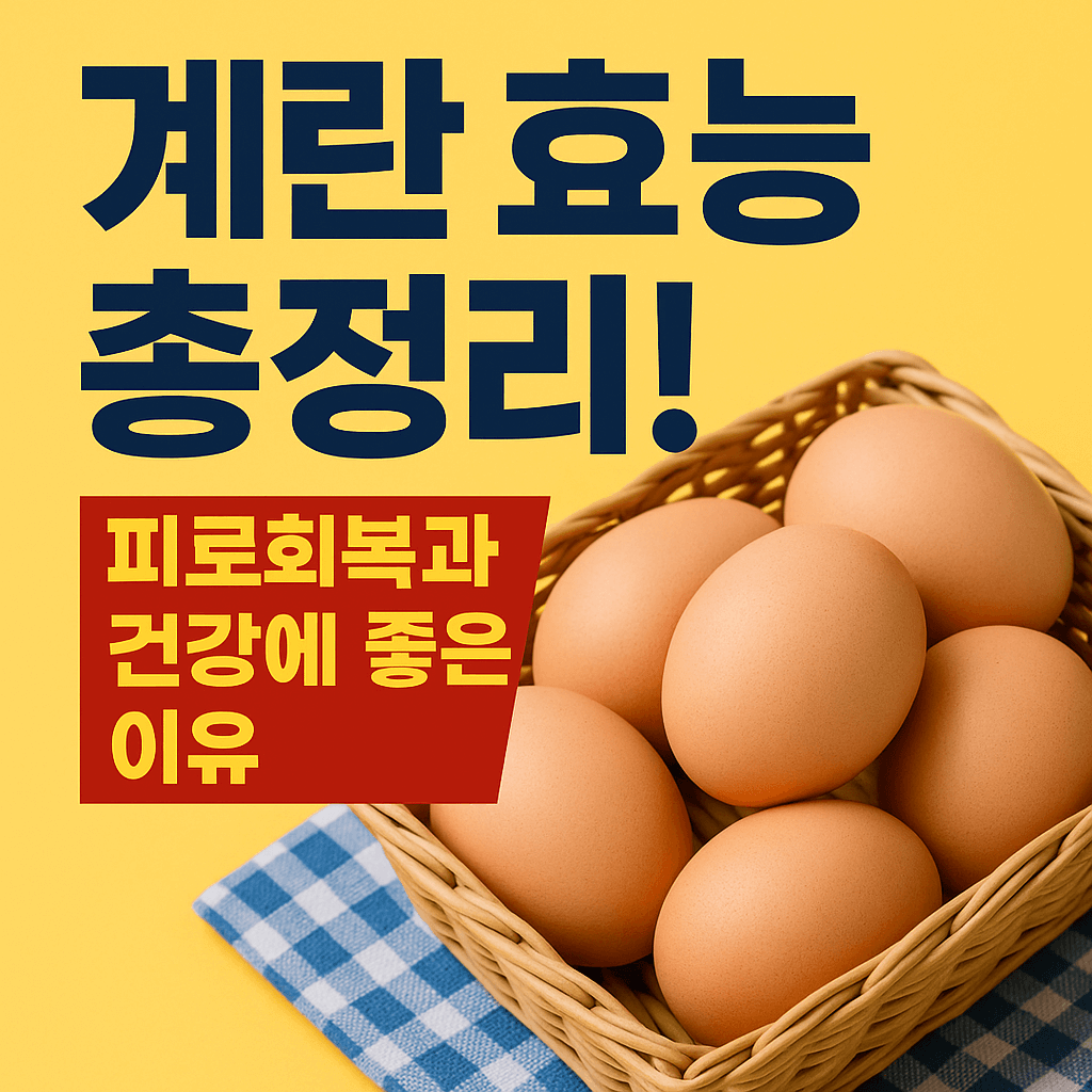 계란의 효능 이미지