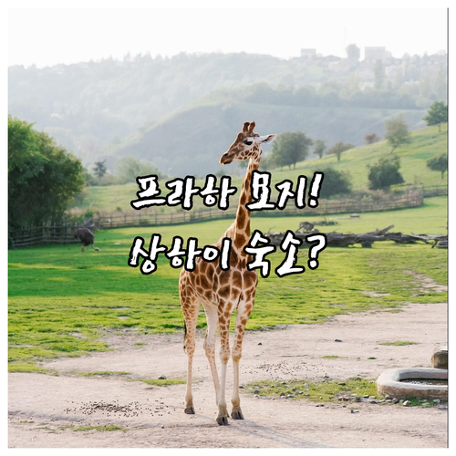 프라하 비셰흐라드 묘지 예술적 묘비 ..