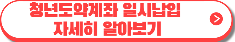 청년도약계좌 일시납입