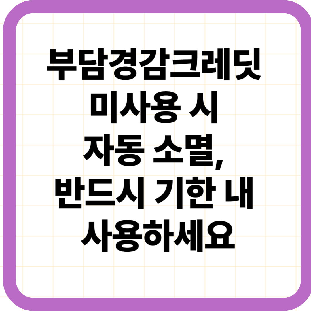 부담경감크레딧 미사용 시 자동 소멸, 반드시 기한 내 사용하세요