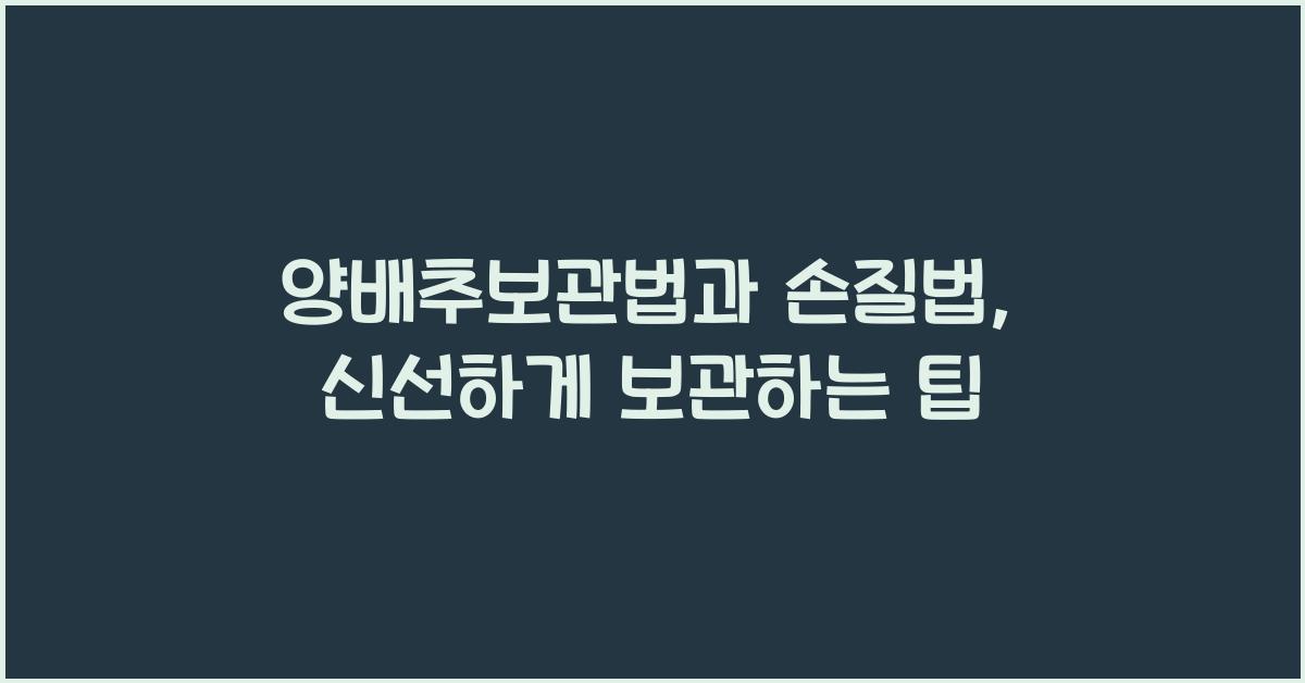 양배추보관법