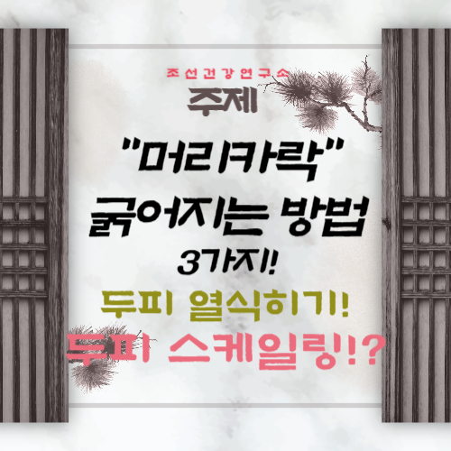 머리카락 굵어지는 방법 3가지 머리숱 많아지는법