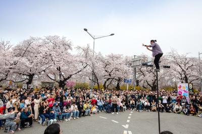  여의도 벚꽃축제 즐길거리