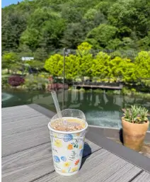 화담숲 초행자를 위한 완벽 가이드