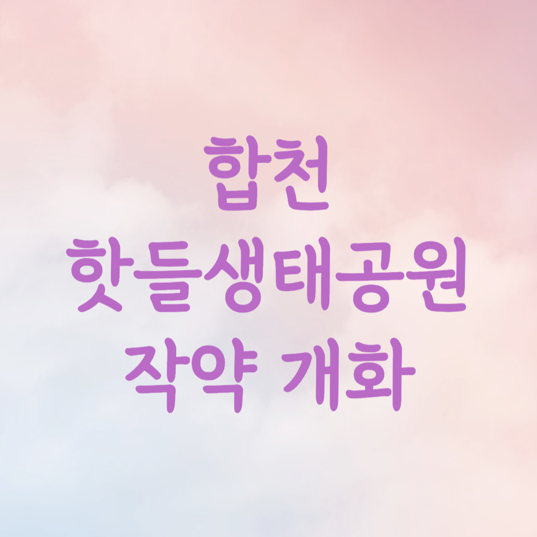 합천 핫들생태공원 작약 개화