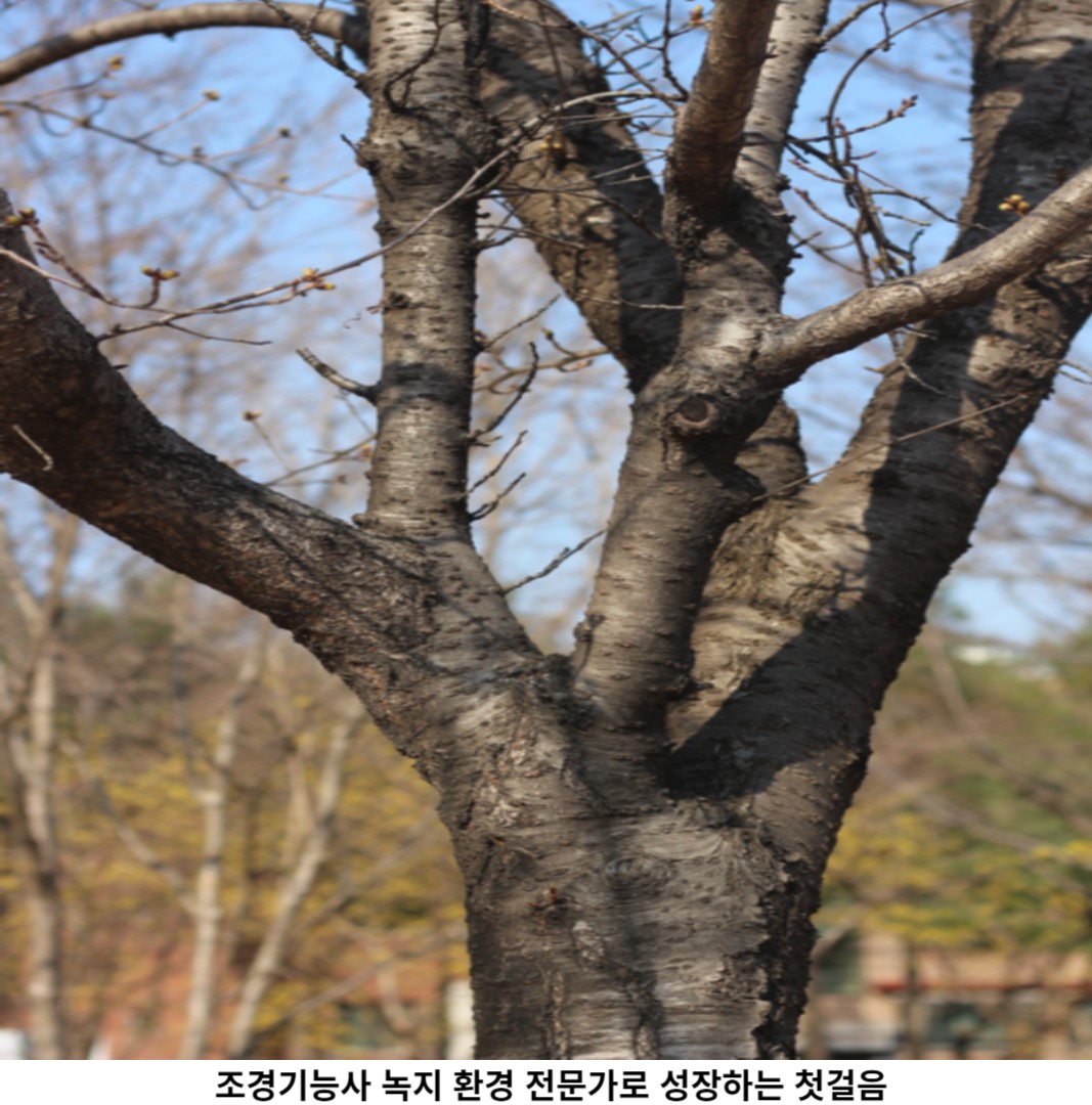 조경기능사